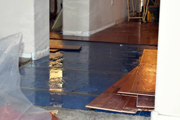 Professional Burst Pipe Cleanup technician working in Buhl, MN